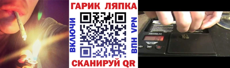 Купить закладки  Кисловодск  ГАШ Premium 