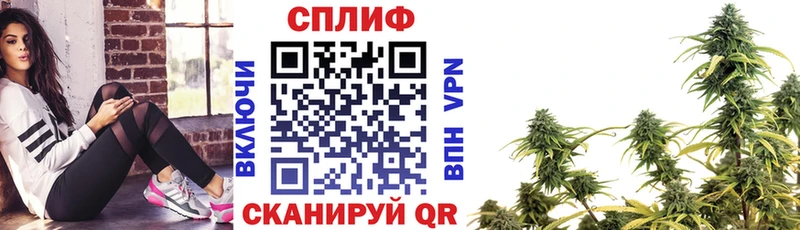 Купить  Кисловодск  Каннабис сатива 